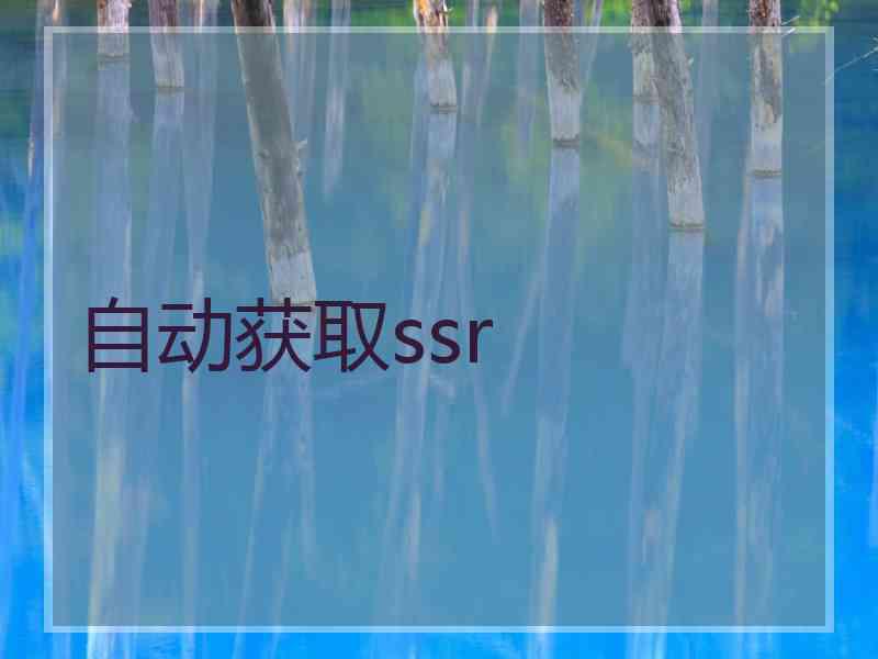 自动获取ssr