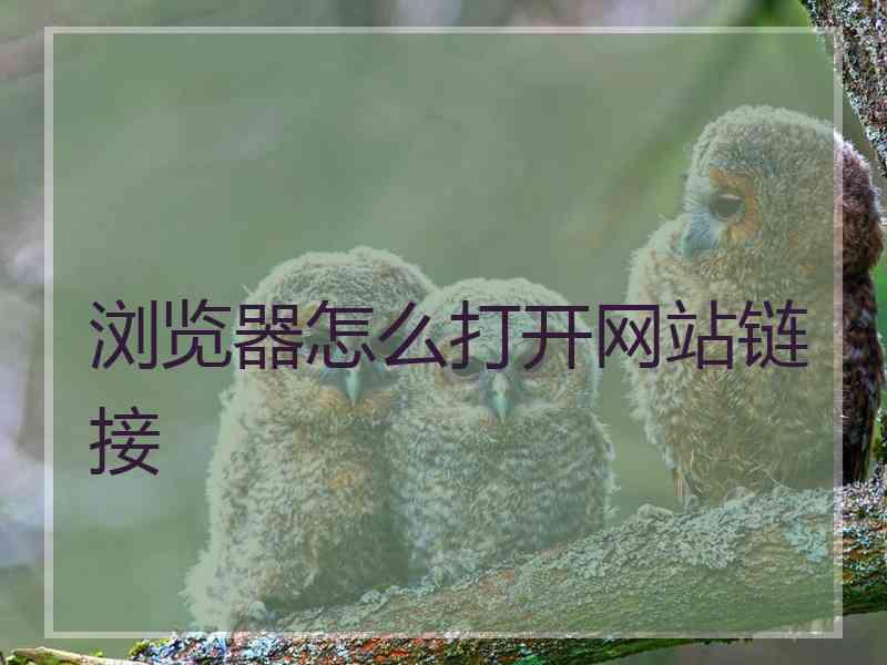 浏览器怎么打开网站链接