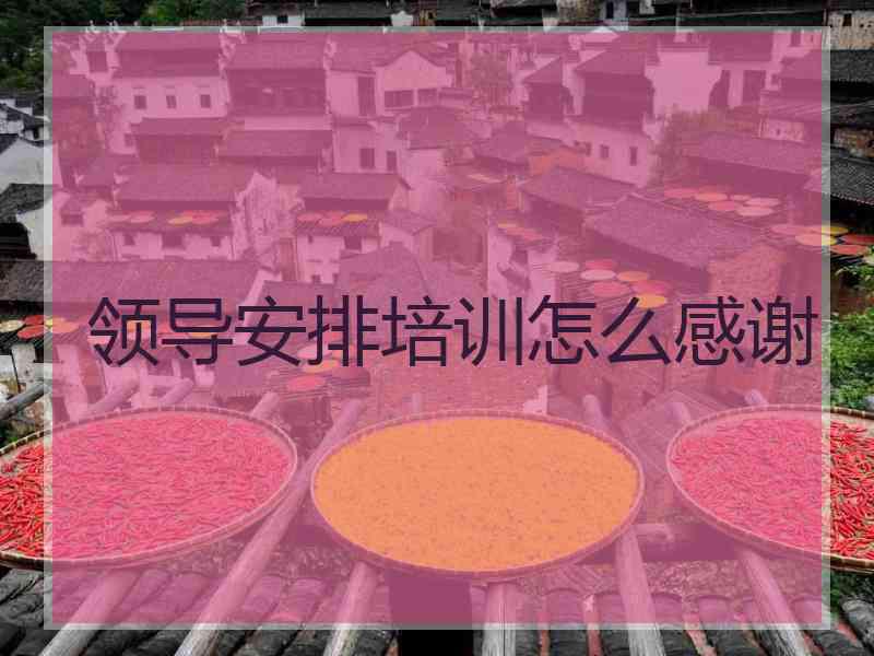 领导安排培训怎么感谢
