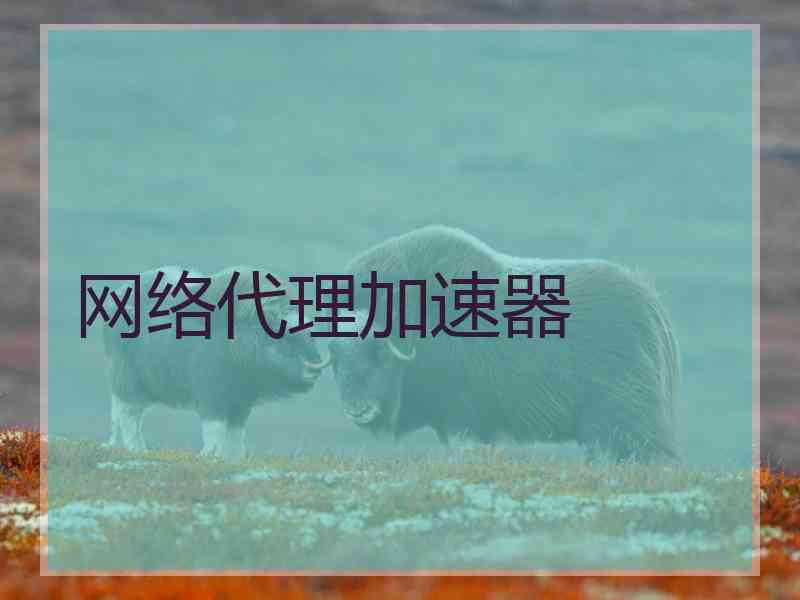 网络代理加速器