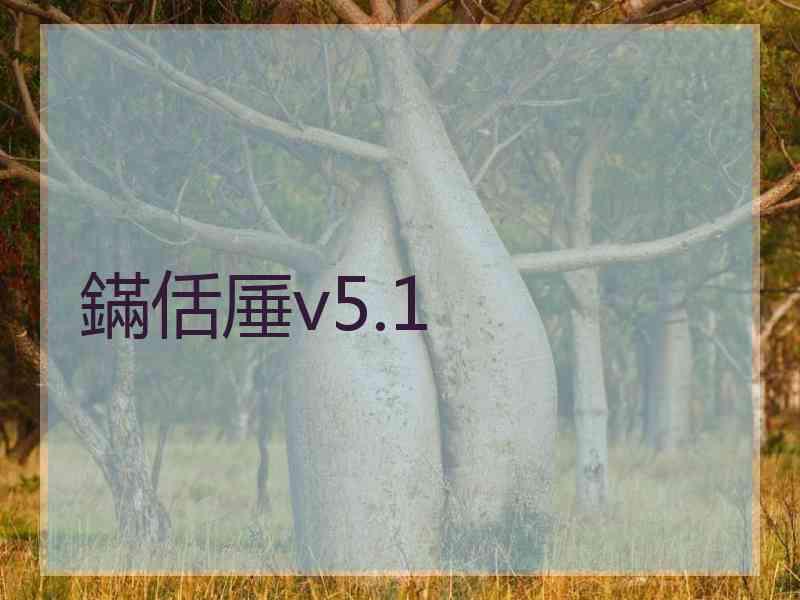 鏋佸厜v5.1