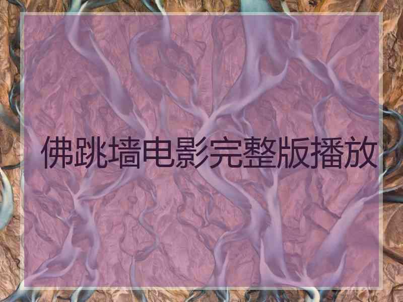 佛跳墙电影完整版播放