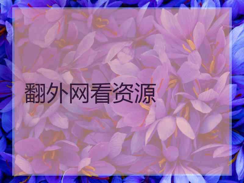 翻外网看资源