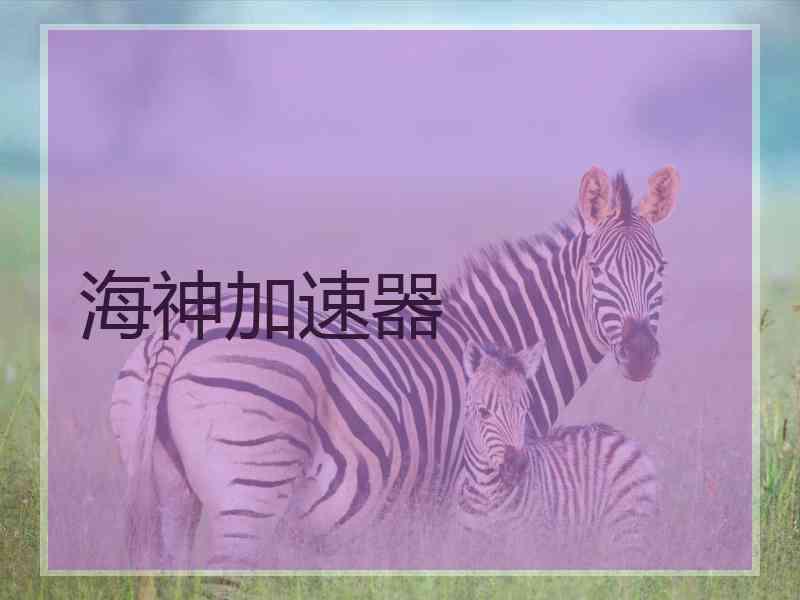 海神加速器