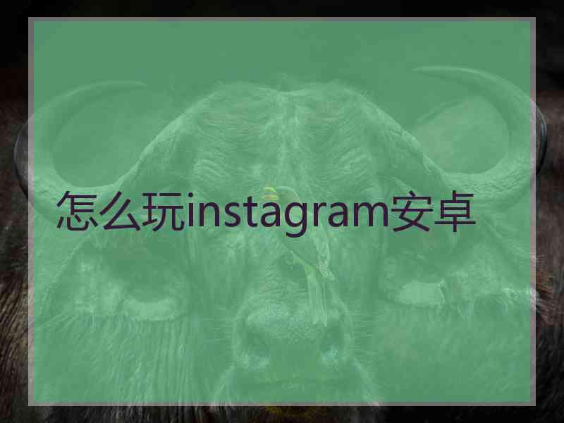怎么玩instagram安卓