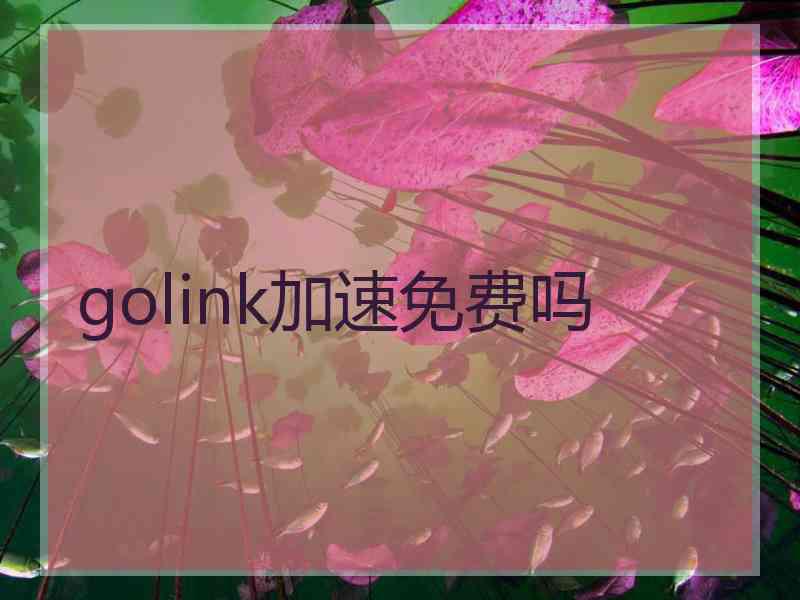 golink加速免费吗