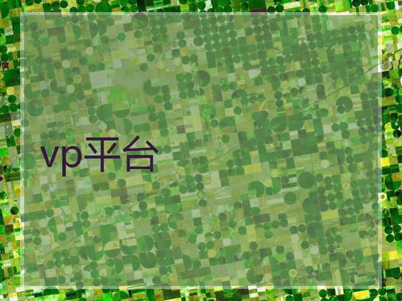 vp平台