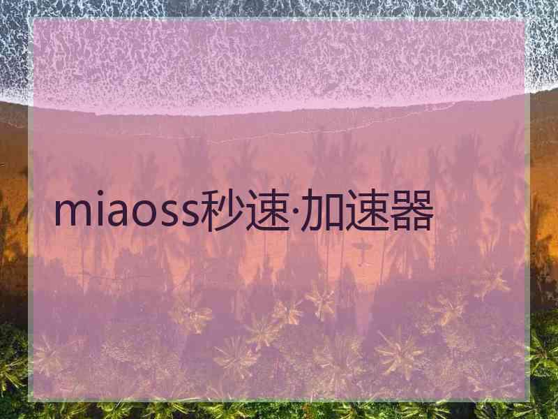 miaoss秒速·加速器