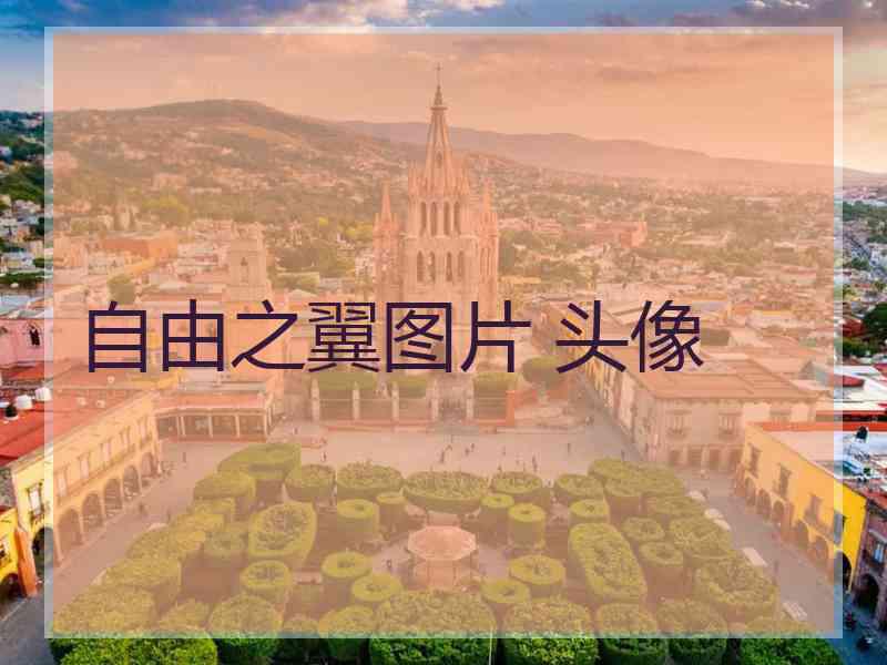 自由之翼图片 头像