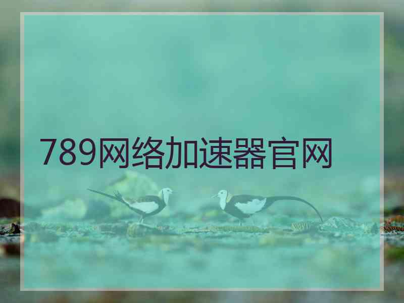 789网络加速器官网