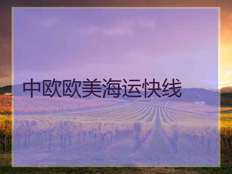 中欧欧美海运快线