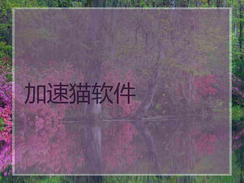 加速猫软件