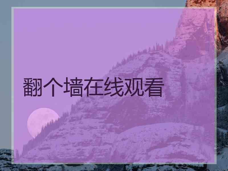 翻个墙在线观看