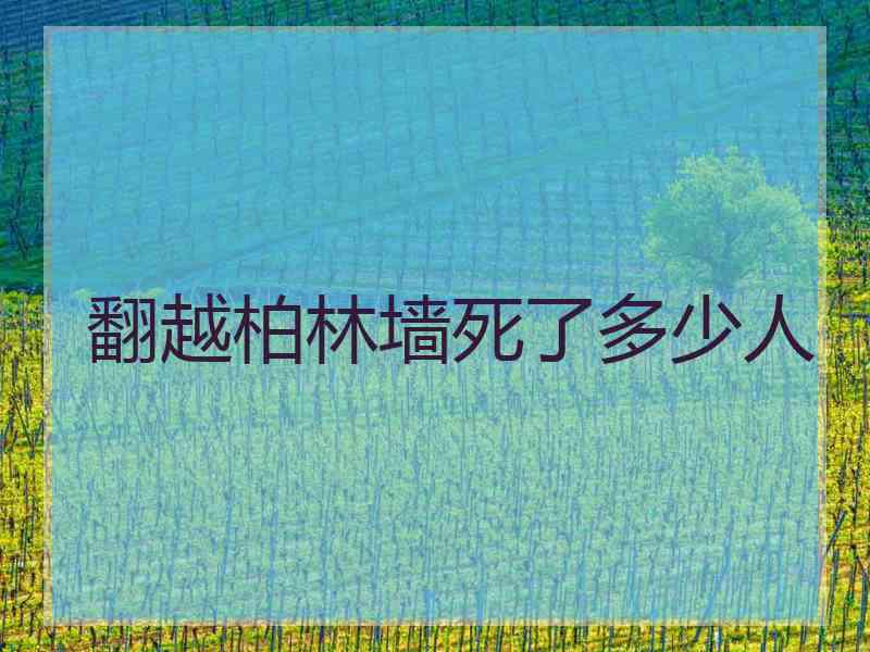 翻越柏林墙死了多少人
