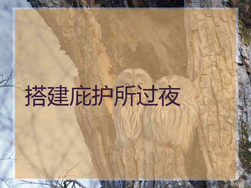 搭建庇护所过夜