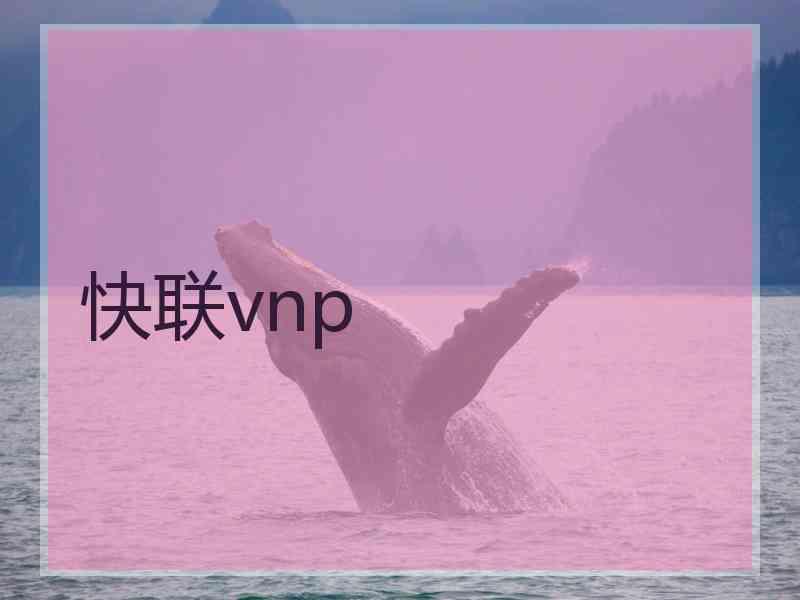 快联vnp
