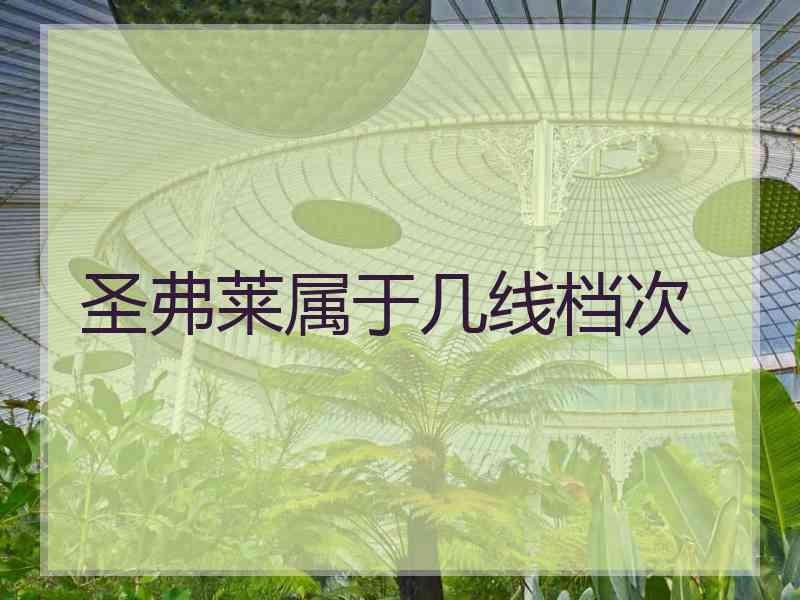 圣弗莱属于几线档次