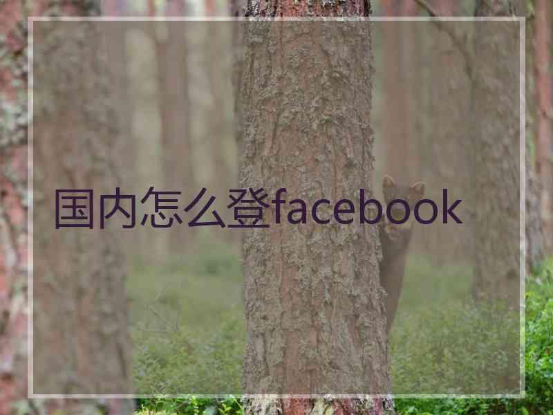 国内怎么登facebook