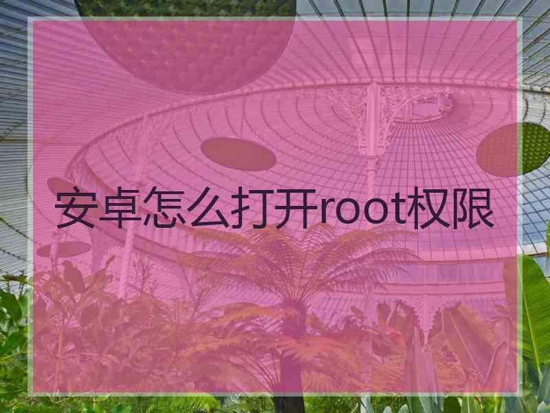 安卓怎么打开root权限