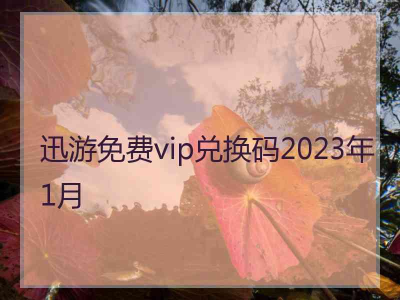 迅游免费vip兑换码2023年1月