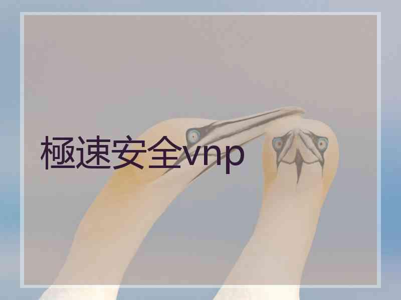 極速安全vnp