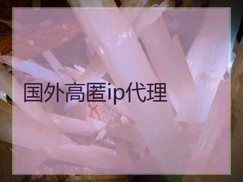 国外高匿ip代理