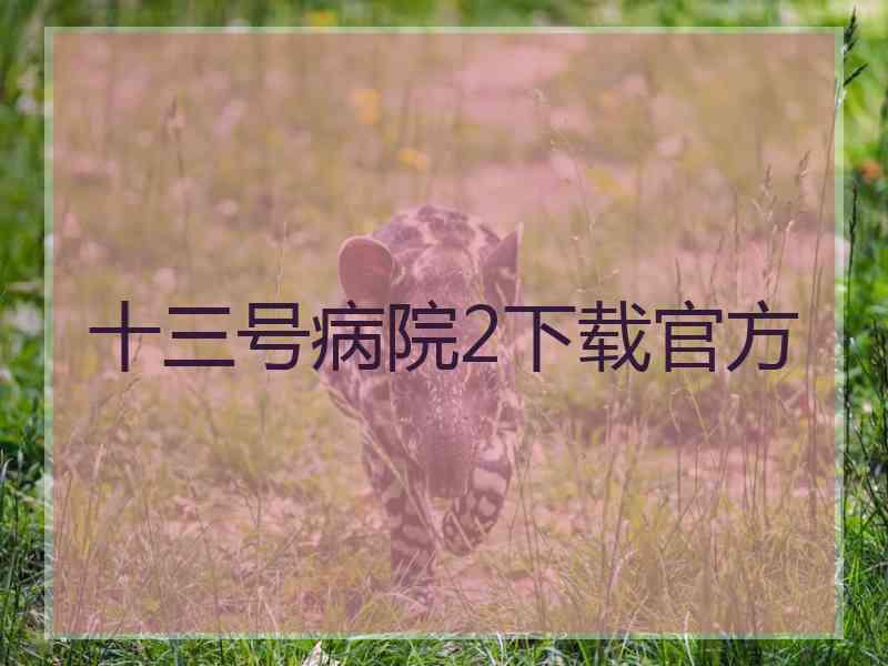 十三号病院2下载官方