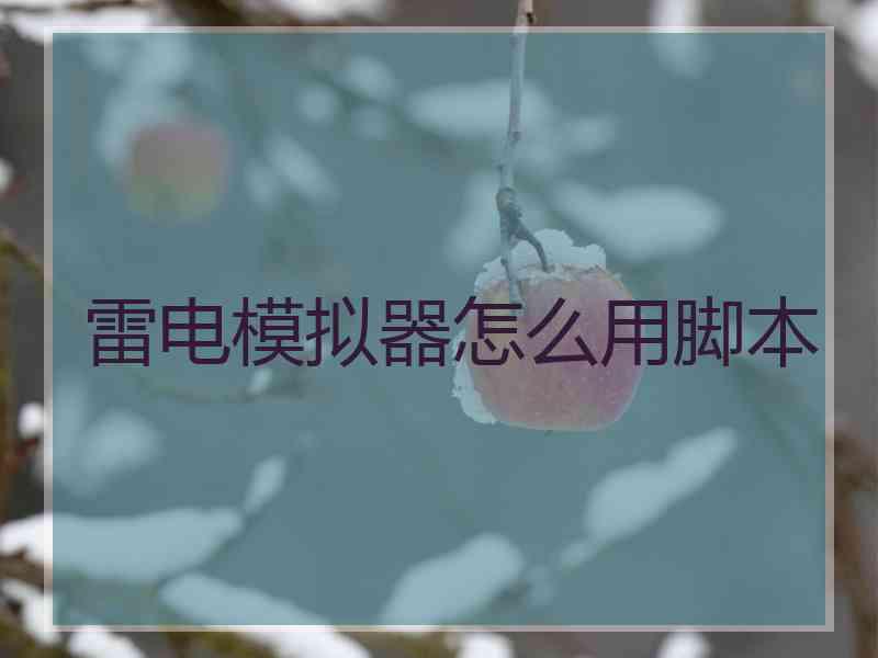 雷电模拟器怎么用脚本