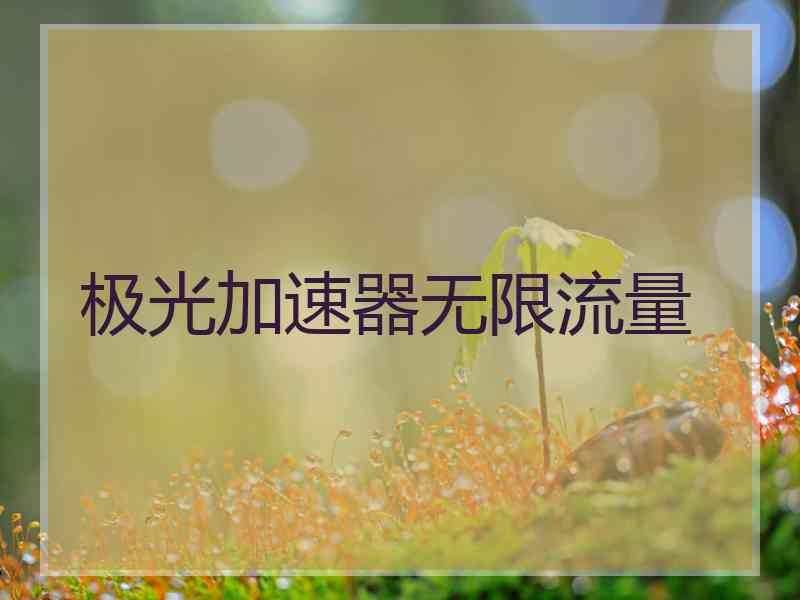 极光加速器无限流量
