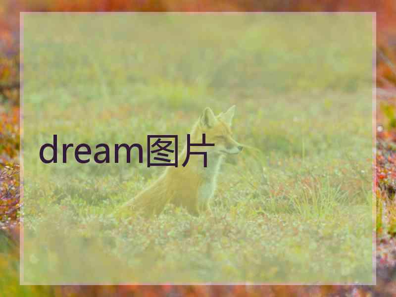 dream图片
