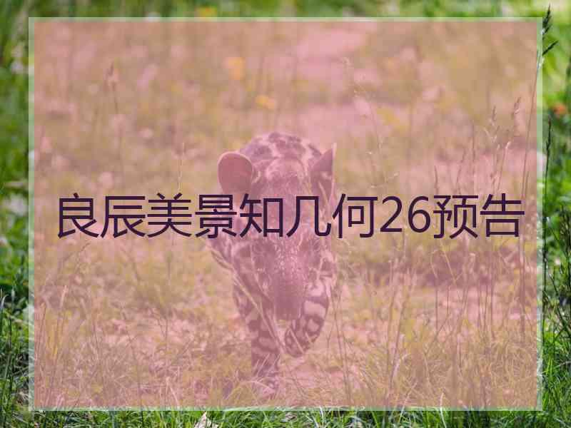 良辰美景知几何26预告