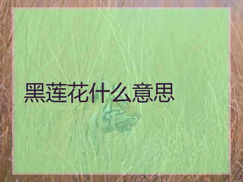 黑莲花什么意思
