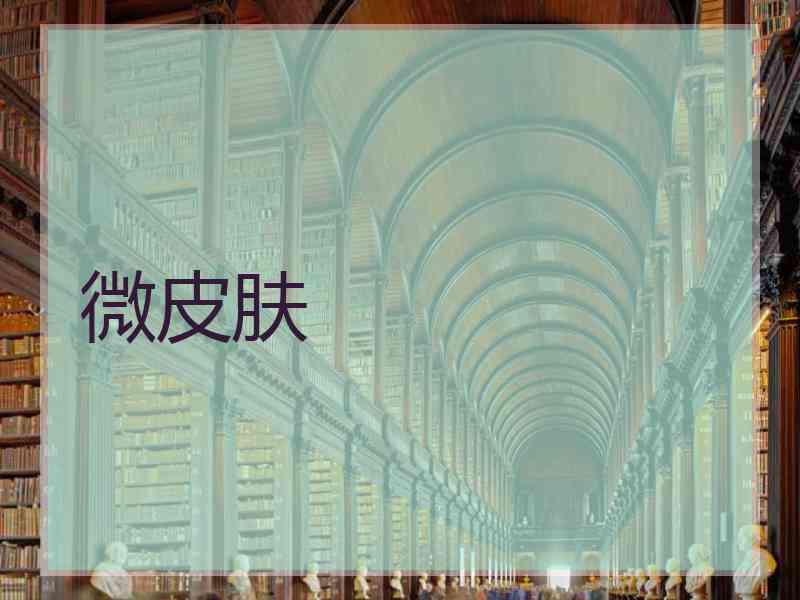 微皮肤
