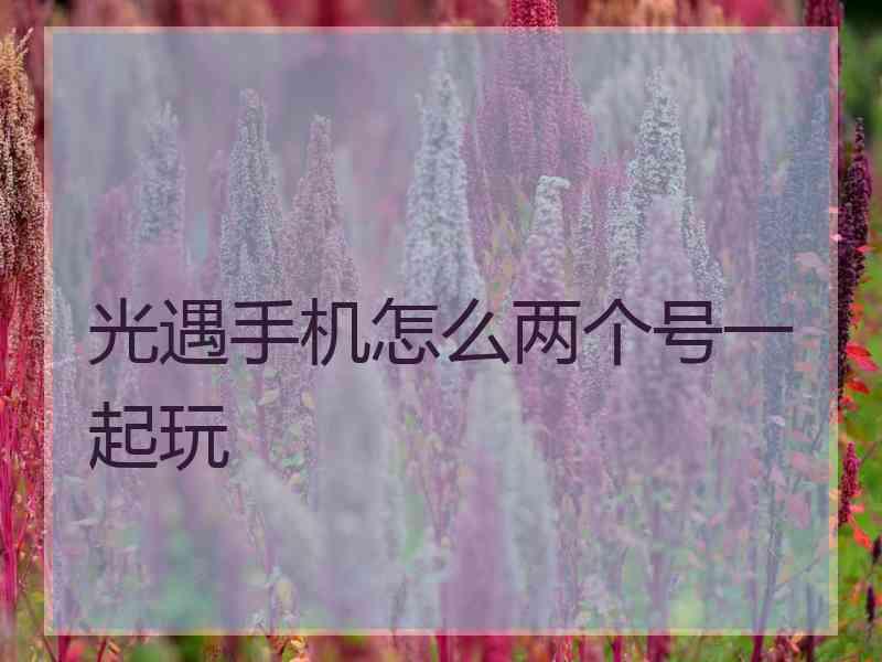 光遇手机怎么两个号一起玩