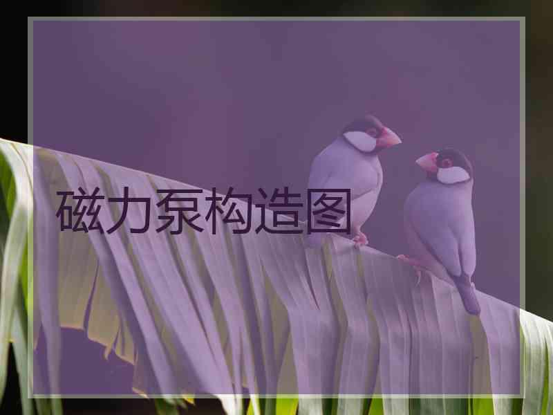 磁力泵构造图