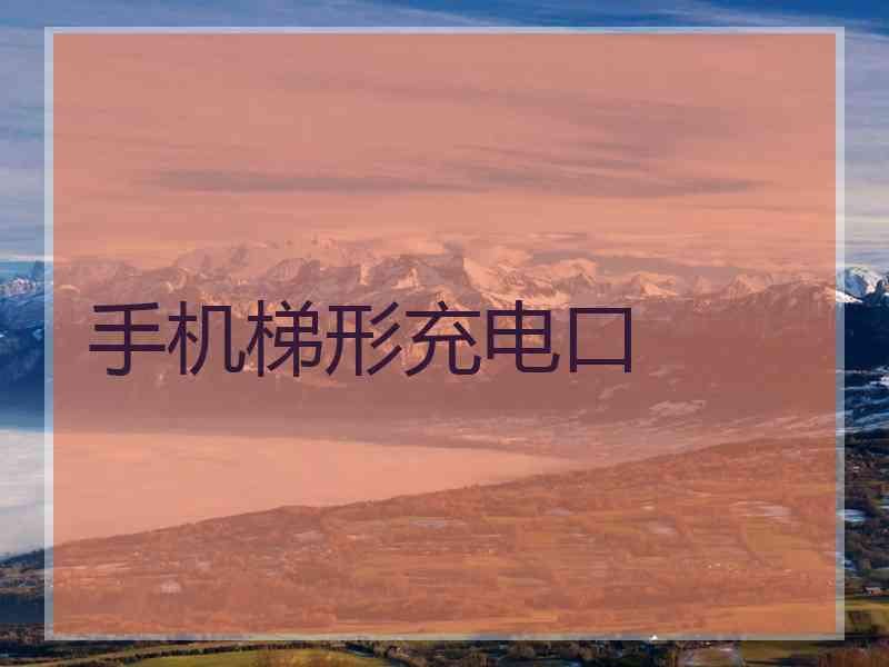手机梯形充电口