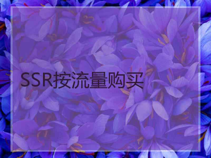SSR按流量购买