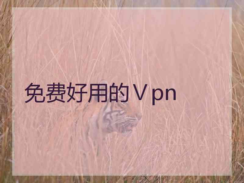 免费好用的Ⅴpn