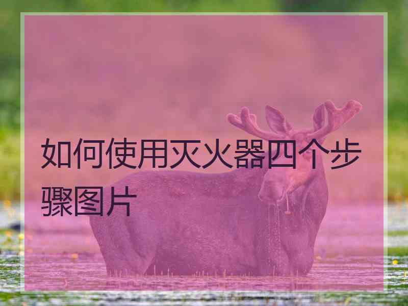 如何使用灭火器四个步骤图片