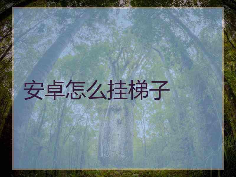 安卓怎么挂梯子