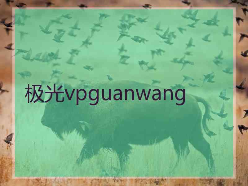极光vpguanwang