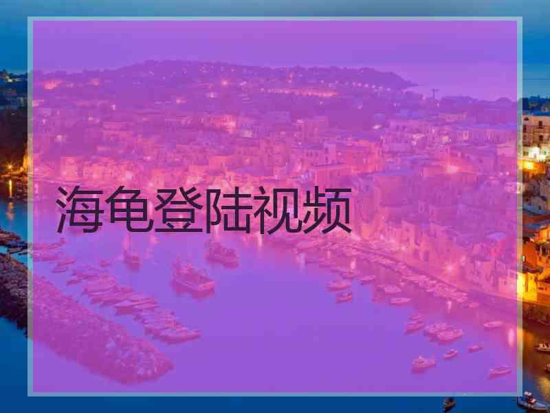 海龟登陆视频