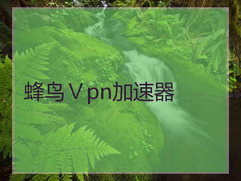 蜂鸟Ⅴpn加速器