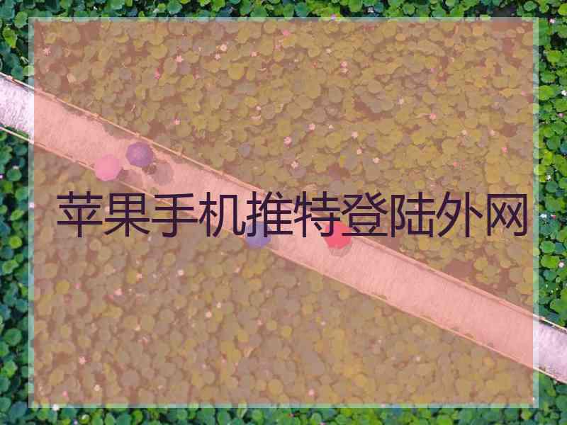 苹果手机推特登陆外网