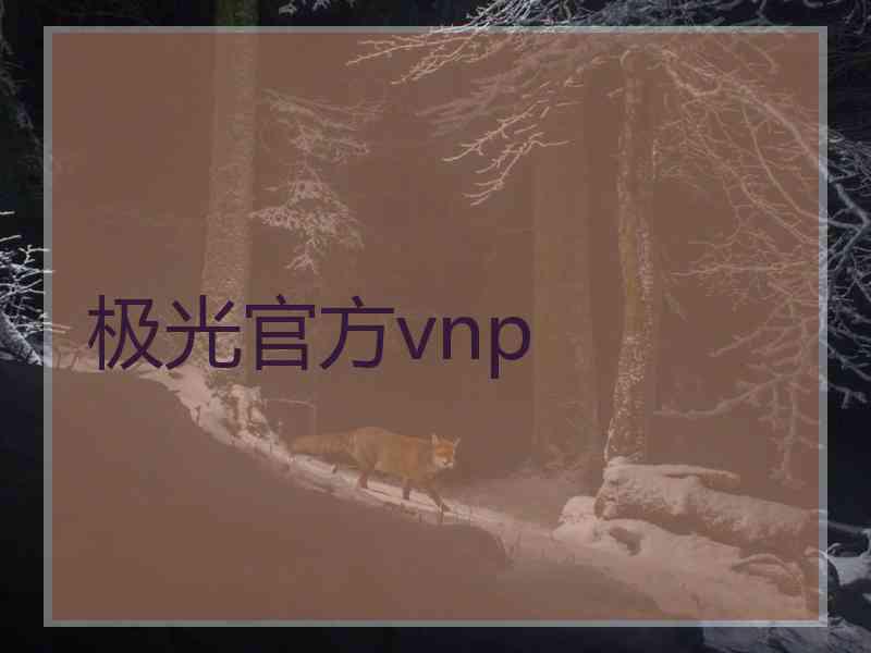 极光官方vnp