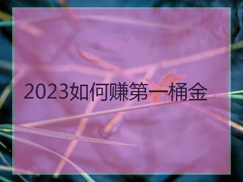 2023如何赚第一桶金