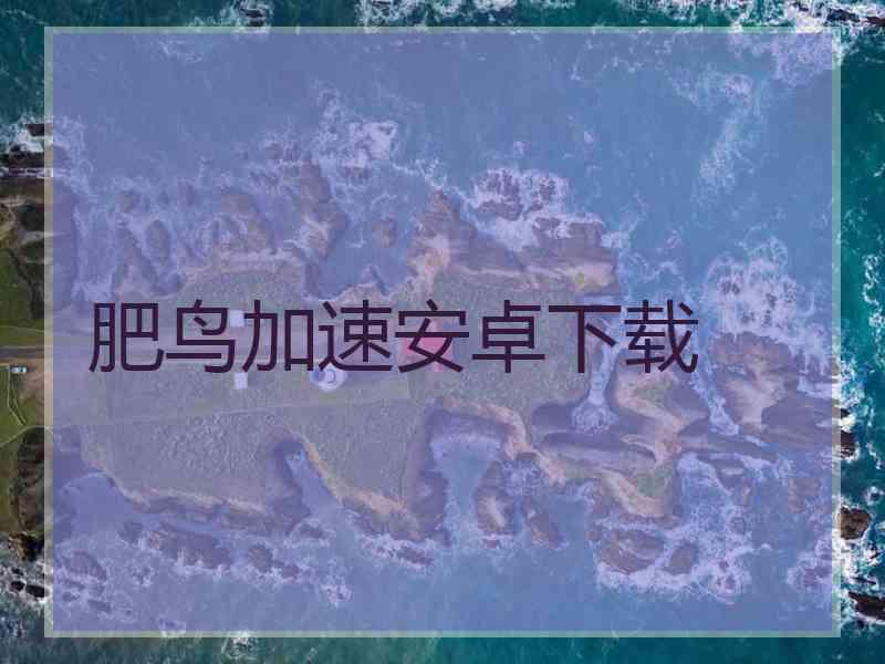 肥鸟加速安卓下载