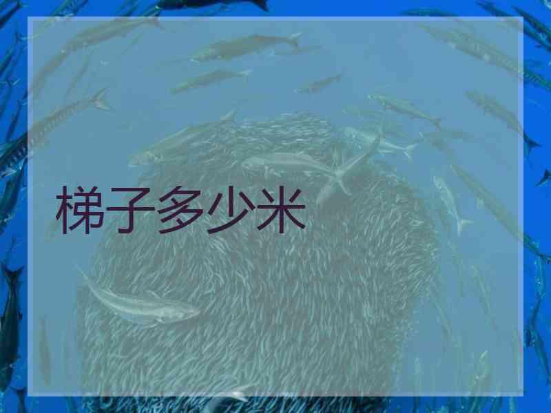 梯子多少米