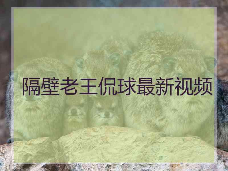 隔壁老王侃球最新视频