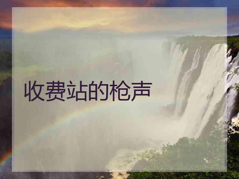 收费站的枪声